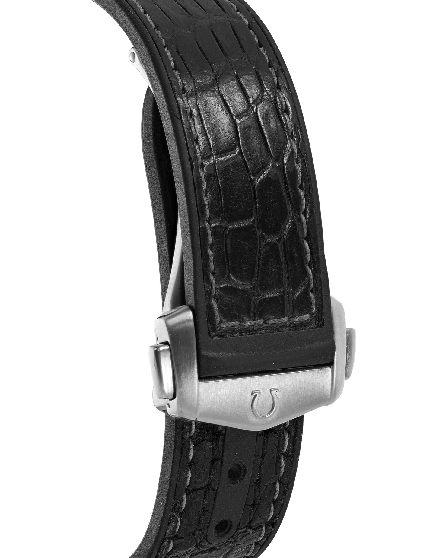 Omega Seamaster Planet Ocean